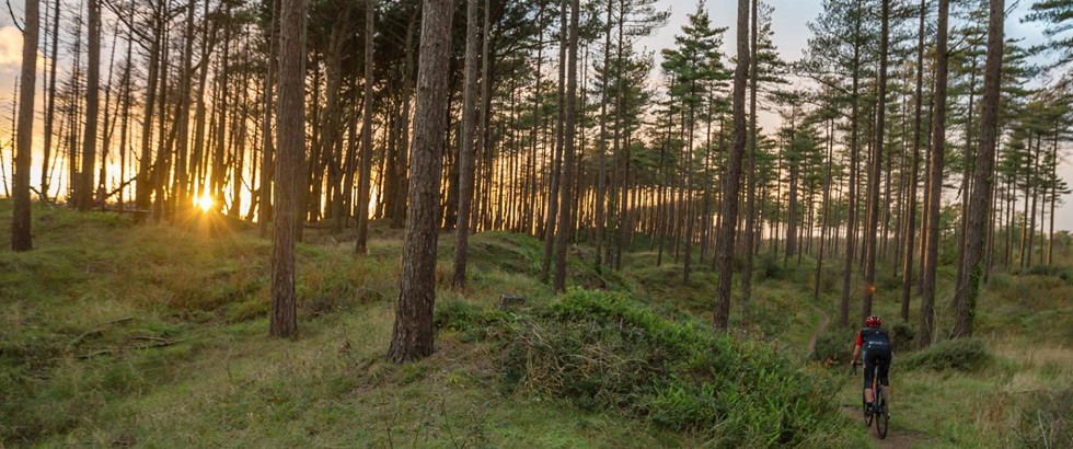 Danni Flawn Team Tredz 2016